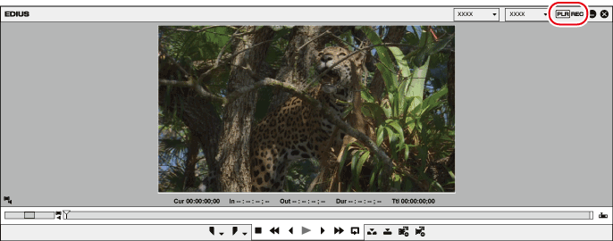 Preview Window