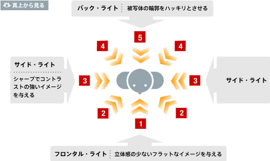 平面上のライト・ポジション